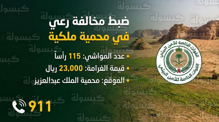 تحديث رسمي من الأمن البيئي: ضبط مواطن رعى 115 رأساً من الأغنام في محمية الملك عبدالعزيز وتغريمه 23 ألف ريال