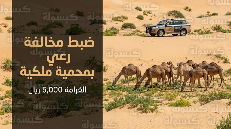 تغريم مقيم 5 آلاف ريال لمخالفته نظام البيئة ورعي 10 متون من الإبل في منطقة محظورة بمحمية ملكية