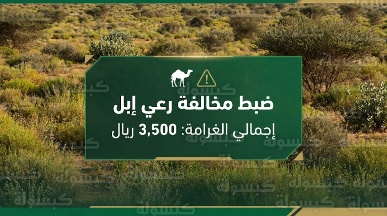 تغريم مواطن 3500 ريال لارتكابه مخالفة رعي غير قانونية في محمية الإمام عبدالعزيز بن محمد الملكية