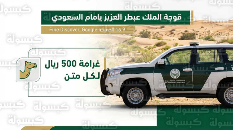 تغريم مواطن 6500 ريال بعد رصد 13 متناً من الإبل ترعى في مواقع محظورة بمحمية الملك عبدالعزيز الملكية