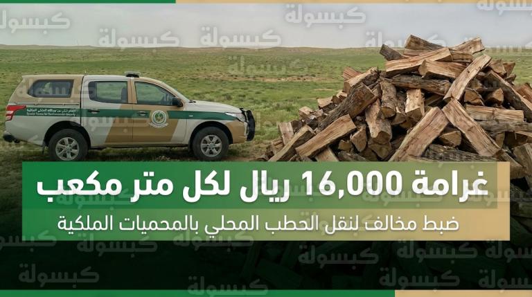 تفاصيل تغريم مواطن 16 ألف ريال لنقل الحطب المحلي داخل محمية الإمام تركي بن عبدالله الملكية