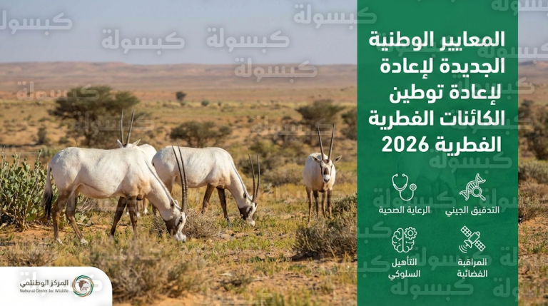 تفاصيل منظومة إطلاق الكائنات الفطرية الجديدة في السعودية التي تشمل التأهيل السلوكي والمراقبة عبر الأقمار الصناعية