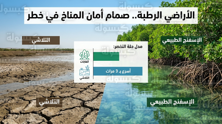 تلاشي الأراضي الرطبة بمعدل أسرع 3 مرات من الغابات يهدد الأمن الغذائي والمائي العالمي