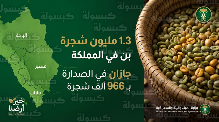 جازان تتصدر بـ 966 ألف شجرة.. وزارة البيئة تكشف إحصائيات إنتاج البن السعودي في رمضان 1447