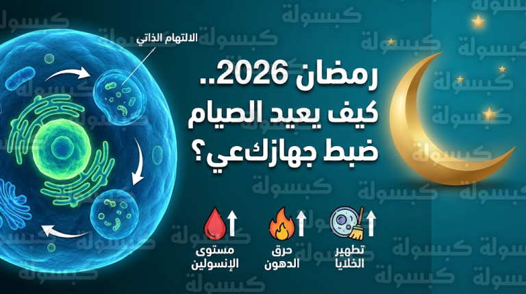 دراسات طبية لعام 2026 توضح كيف يحفز صيام رمضان عملية الالتهام الذاتي لتطهير الجسم من الخلايا التالفة