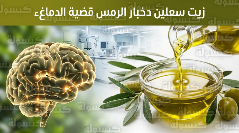 دراسة إسبانية حديثة تؤكد فعالية زيت الزيتون البكر الممتاز في حماية كبار السن من التدهور الإدراكي
