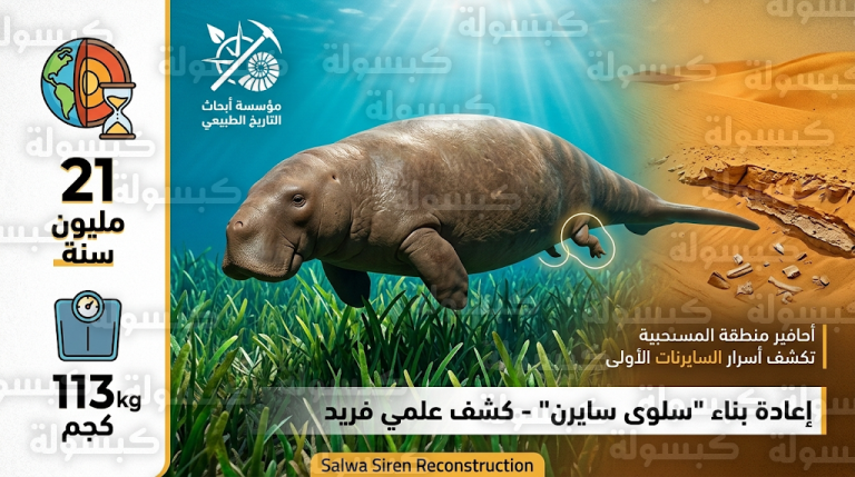 دراسة علمية 2026 توثق أغزر تجمع لعظام أبقار البحر الأحفورية في العالم بمنطقة المسحبية القطرية