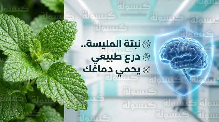 سر نبتة المليسة.. مركبات طبيعية تحارب شيخوخة الدماغ وتحمي الذاكرة من التدهور