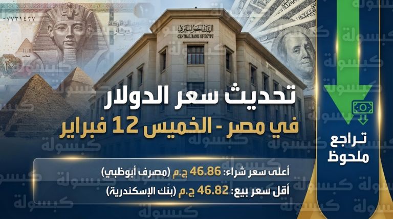 سعر الدولار اليوم في مصر الخميس 12 فبراير 2026: تراجع رسمي في الأسعار تزامناً مع أداء الحكومة الجديدة لليمين