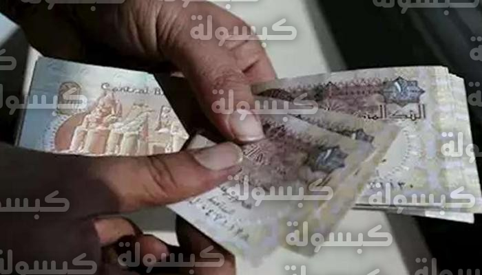 سعر الدولار اليوم في مصر السبت 21-2-2026 وتفاصيل تراجع الجنيه بمقدار 76 قرشاً