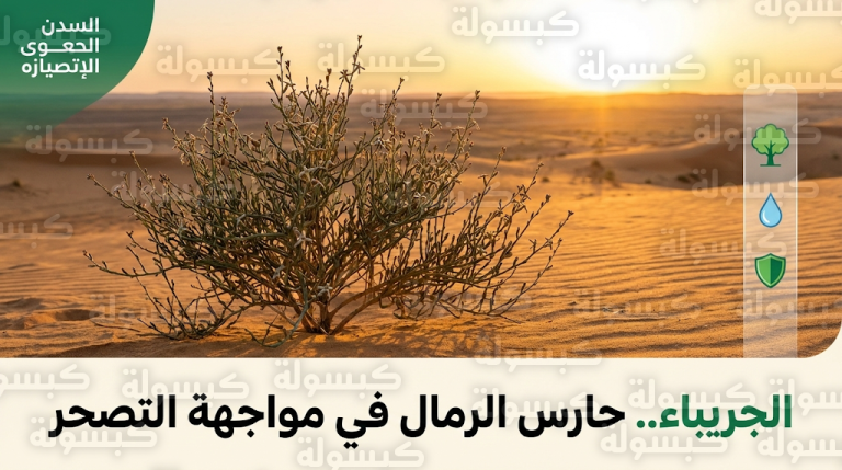 شجيرة الجريباء تتصدر المشهد البيئي في السعودية 2026 كأحد أهم ركائز مكافحة التصحر وتثبيت الكثبان الرملية