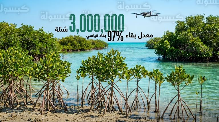شركة البحر الأحمر الدولية تحقق رقماً قياسياً عالمياً في زراعة المانجروف الأحمر النادر بمعدل نجاح 97%