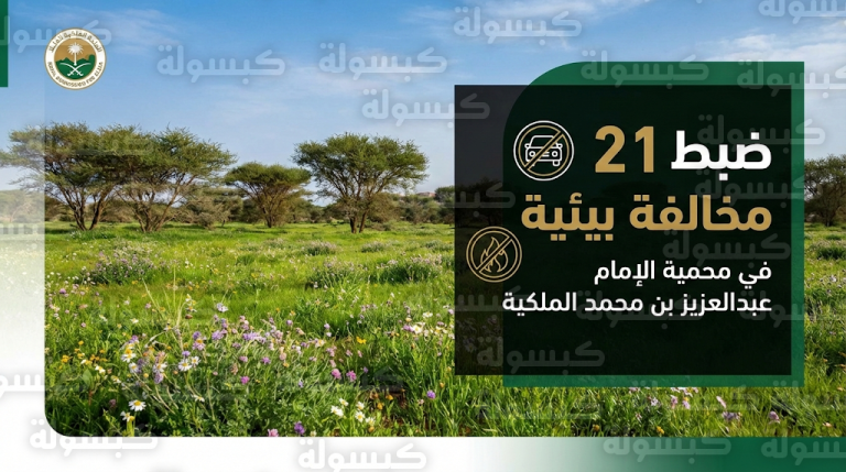 ضبط 21 مخالفة بيئية في محمية الإمام عبدالعزيز بن محمد الملكية وإحالة المتجاوزين للجهات المختصة