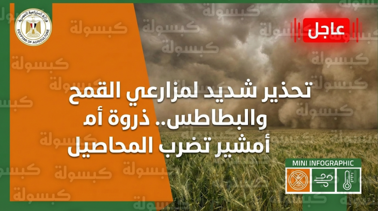 عاجل: “الزراعة” ترفع حالة الطوارئ القصوى.. تحذير “شديد الخطورة” لمزارعي القمح والبطاطس من تقلبات ذروة “أمشير” 2026