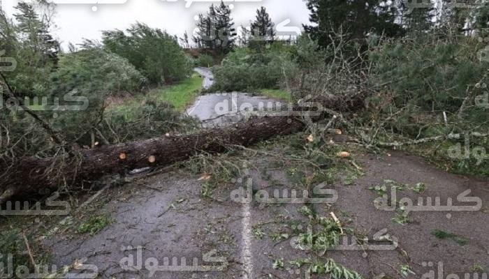 عاصفة مدارية عنيفة تضرب نيوزيلندا وتتسبب في انقطاع الكهرباء عن 30 ألف منزل وشلل تام في حركة الطيران