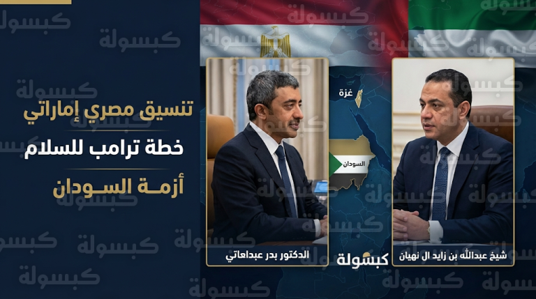 عبدالله بن زايد وبدر عبدالعاطي يبحثان تنفيذ استحقاقات خطة ترامب للسلام وتطورات الأوضاع في السودان وغزة