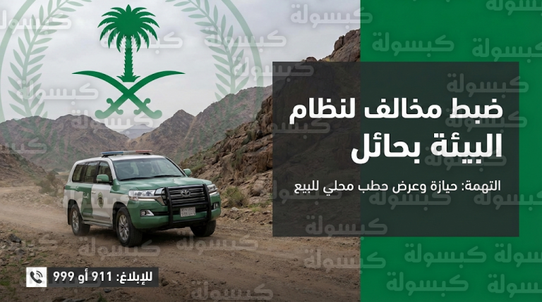 عقوبات رادعة لمخالفي نظام البيئة.. تفاصيل ضبط بائع حطب محلي في حائل وآلية الإبلاغ الرسمية