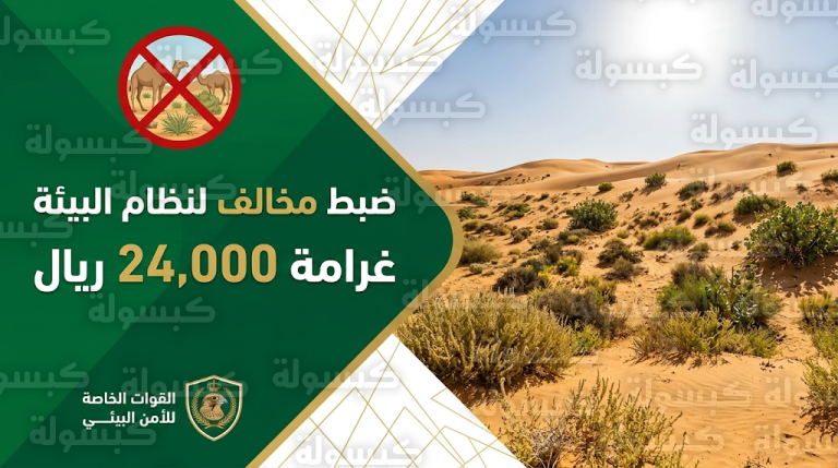 غرامة 24 ألف ريال لمواطن ضبطته القوات الخاصة للأمن البيئي يرعى الإبل في محمية ملكية