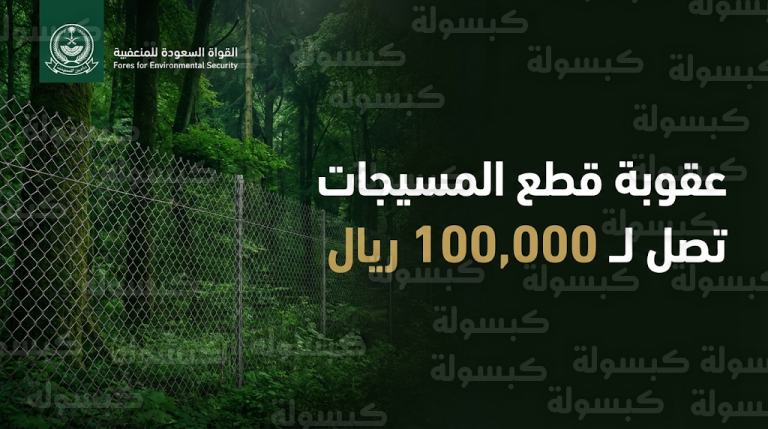 غرامة تصل إلى 100 ألف ريال وتحذير شديد من الأمن البيئي ضد قاطعي المسيجات في المناطق المحمية 2026