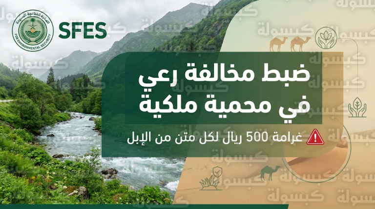 غرامة رعي الإبل في المحميات الملكية 2026 بعد ضبط 7 متون مخالفة بالأمن البيئي