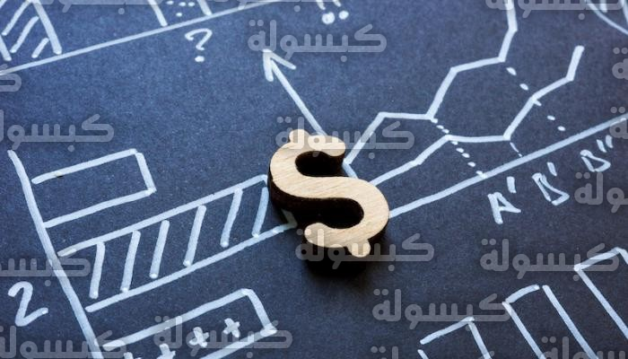 كشف تفاصيل خطة ترامب لتأسيس نظام الدولار الرقمي في قطاع غزة تحت إشراف مجلس سلام دولي