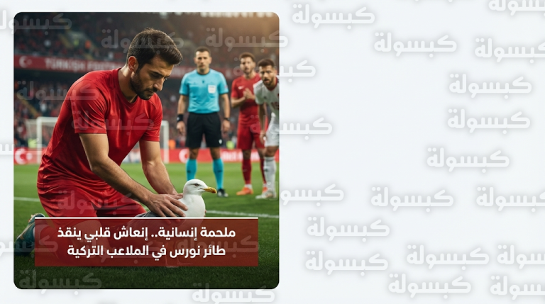 لاعب تركي ينقذ حياة طائر نورس بعملية إنعاش قلبي وسط مباراة لكرة القدم
