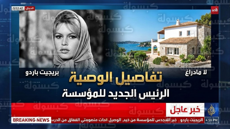 لمن ذهبت الملايين؟.. كشف تفاصيل وصية بريجيت باردو ومصير منزل “لا مادراك” التاريخي