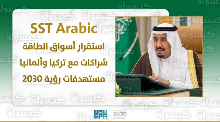 مجلس الوزراء يشدد على مواجهة الإرهاب العابر للحدود ويدعم مخرجات التحالف الدولي لهزيمة داعش