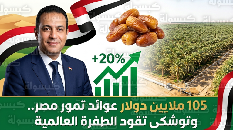 مشروع توشكى يضم أكبر مزرعة نخيل في العالم بـ 1.6 مليون شجرة لدعم الصادرات المصرية