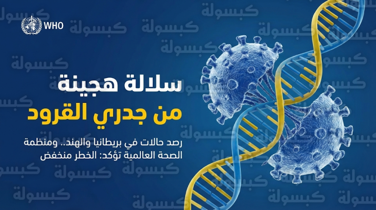 منظمة الصحة العالمية تكشف تفاصيل ظهور سلالة هجينة لجدري القرود وتؤكد عدم رصدها في السعودية