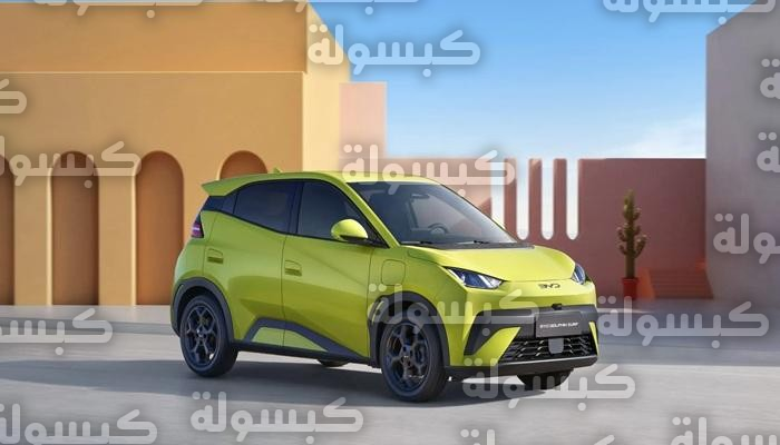 مواصفات وأسعار BYD دولفين سيرف 2026 في مصر ونظام تقسيط البطارية لمدة 8 سنوات
