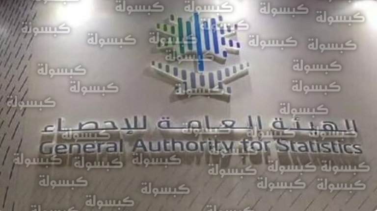 نظام الإحصاء الجديد يدخل حيز التنفيذ الفعلي في المملكة لإلغاء أنظمة سابقة تجاوز عمرها 60 عاماً