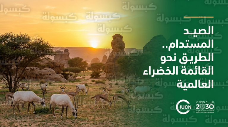 هيئة تطوير محمية الإمام تركي بن عبدالله الملكية تبحث استيفاء معايير القائمة الخضراء العالمية بالتعاون مع الاتحاد الدولي لحماية الطبيعة