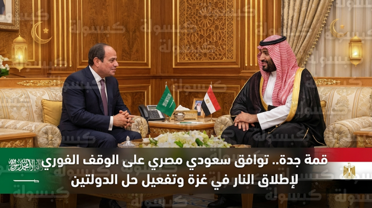 ولي العهد يستقبل الرئيس السيسي في جدة لبحث وقف إطلاق النار في غزة وتفعيل حل الدولتين