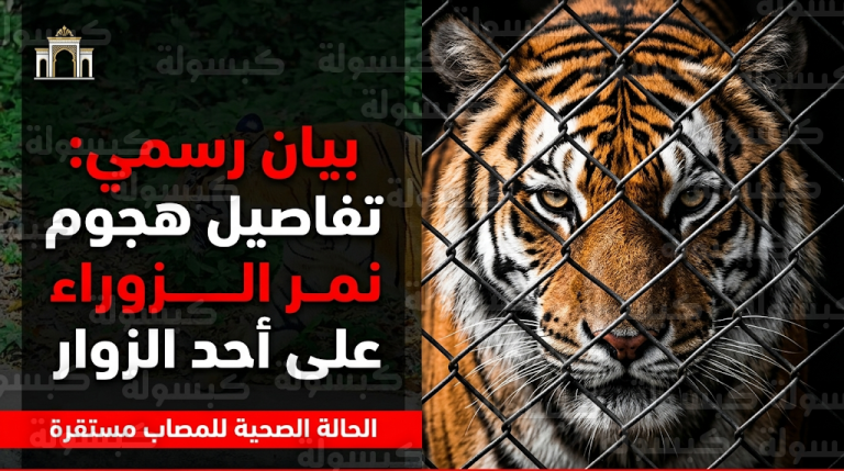 إدارة حديقة الزوراء توضح أسباب هجوم النمر السيبيري على زائر وتكشف حالته الصحية الحالية