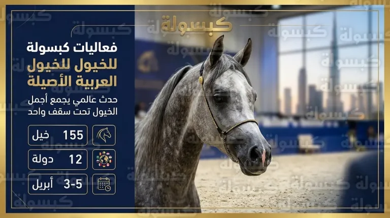 بمشاركة 12 دولة.. دبي تستضيف النسخة الـ 23 من بطولة الجواد العربي في مركز دبي التجاري العالمي